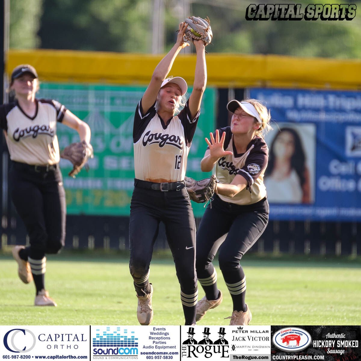 MHSAA Fast-Pitch Softball Semifinal Round Playoff Scores | Capital ...