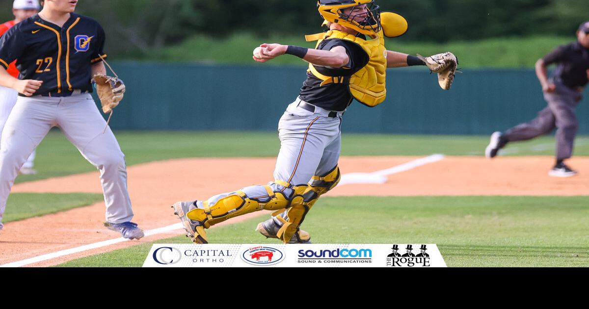 Updated MHSAA Baseball Playoff Schedule and Scores Capital Sports