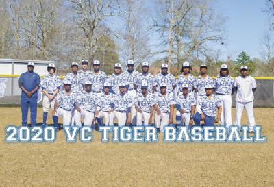 voorhees baseball college team