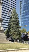 Official Christmas Tree arrives at South Carolina State House