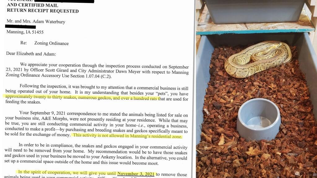 Python breeders clash with city over home business | News Python breeders clash with city over home business | News