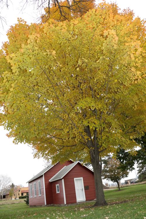 School's nearly out on fall show