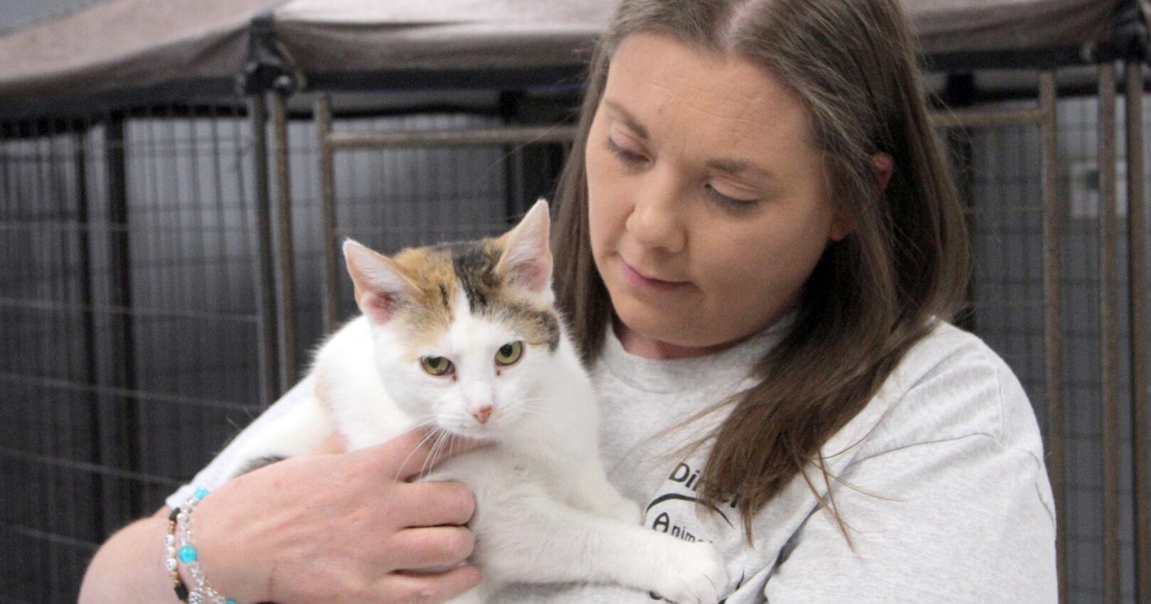 Animal Rescue of Carroll welcomes new director - Vimarsana News