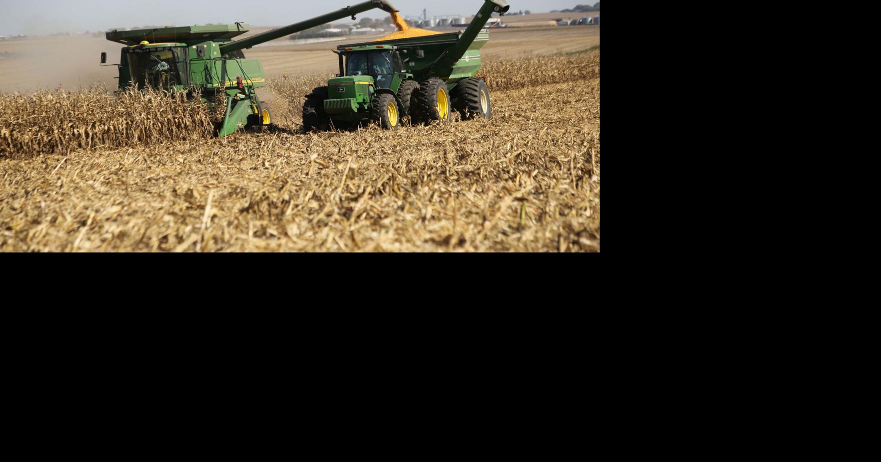 Harvest hits fast pace following weather delay