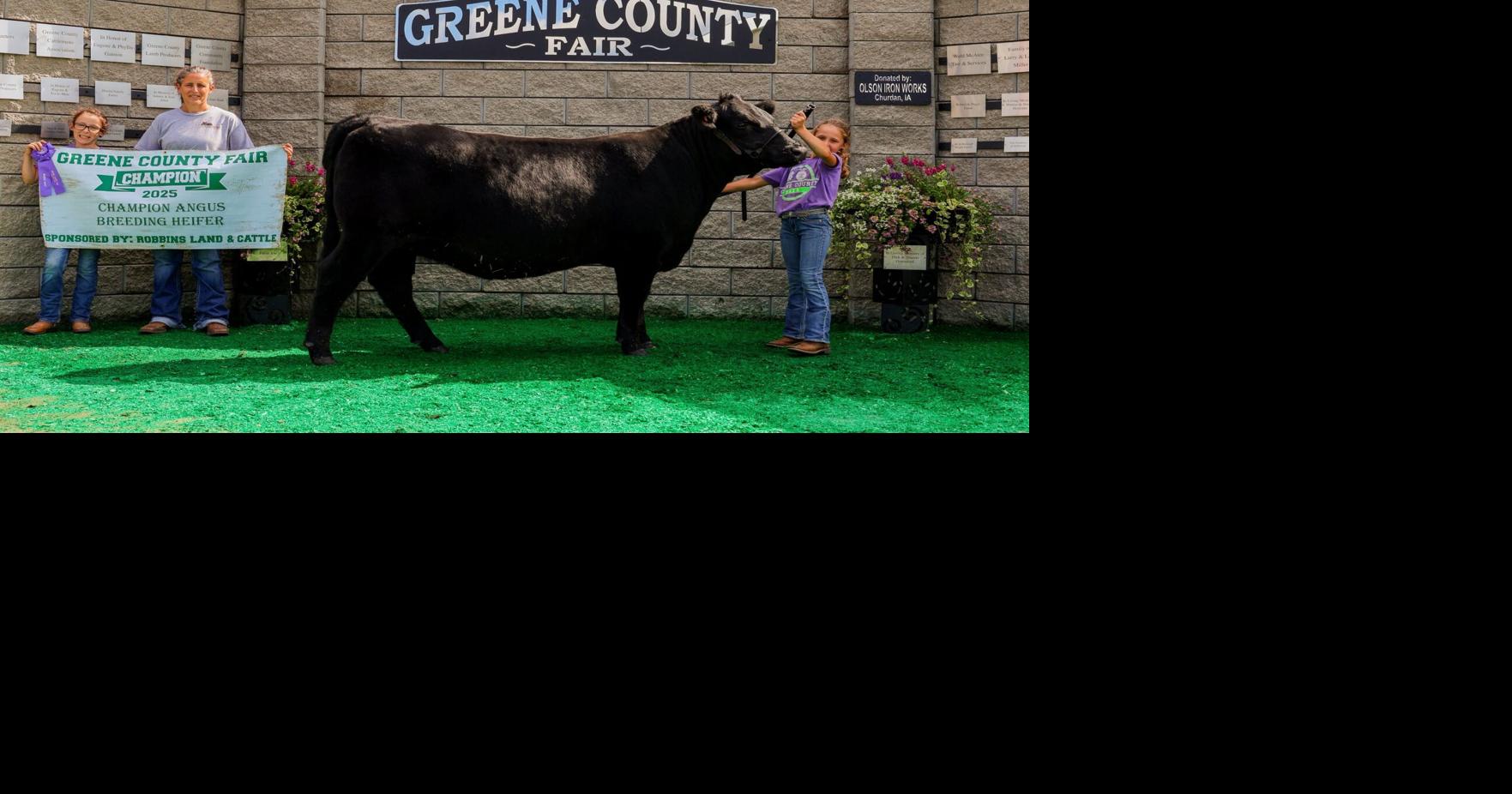 Greene County Fair 4-H and FFA Beef and Bucket Calf | Jefferson Herald ...