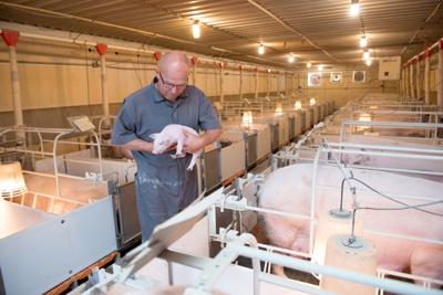 Arcadia Iowa Meat Locker Financial Stress Is High On The Pork Farms Coronavirus