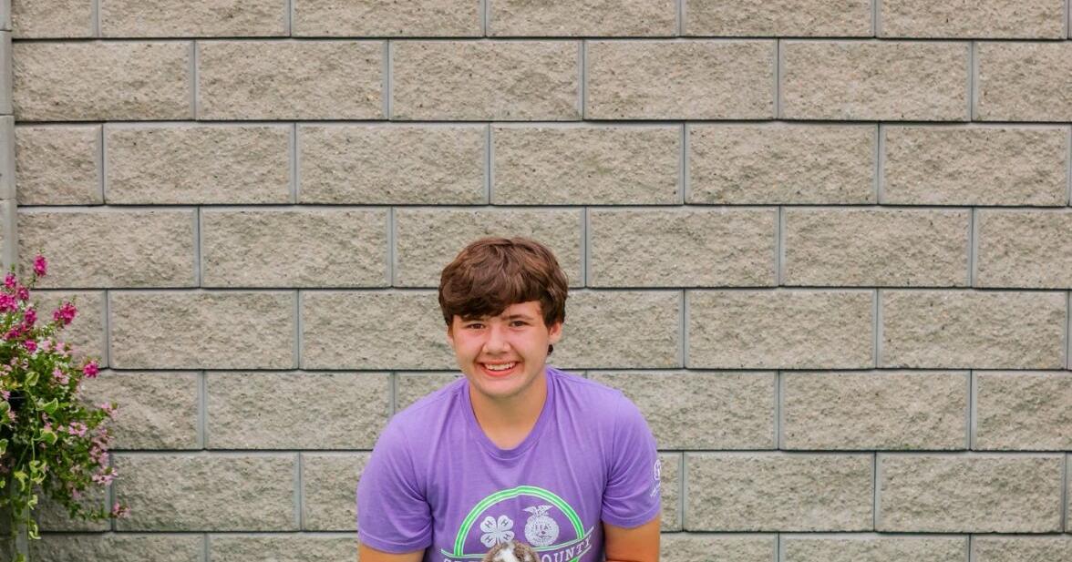 Greene County Fair 4-H and FFA Rabbit Show | Jefferson Herald ...