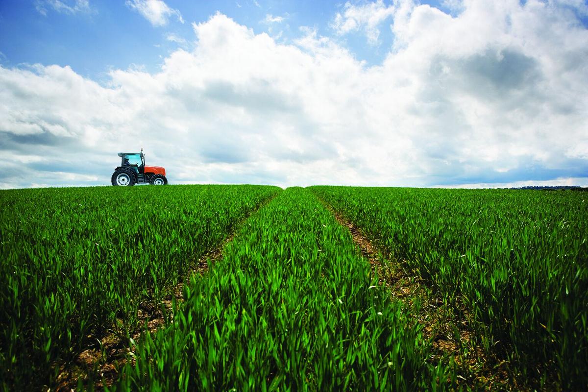 Naig encourages sign-up for cover crop cost-share program | News ...