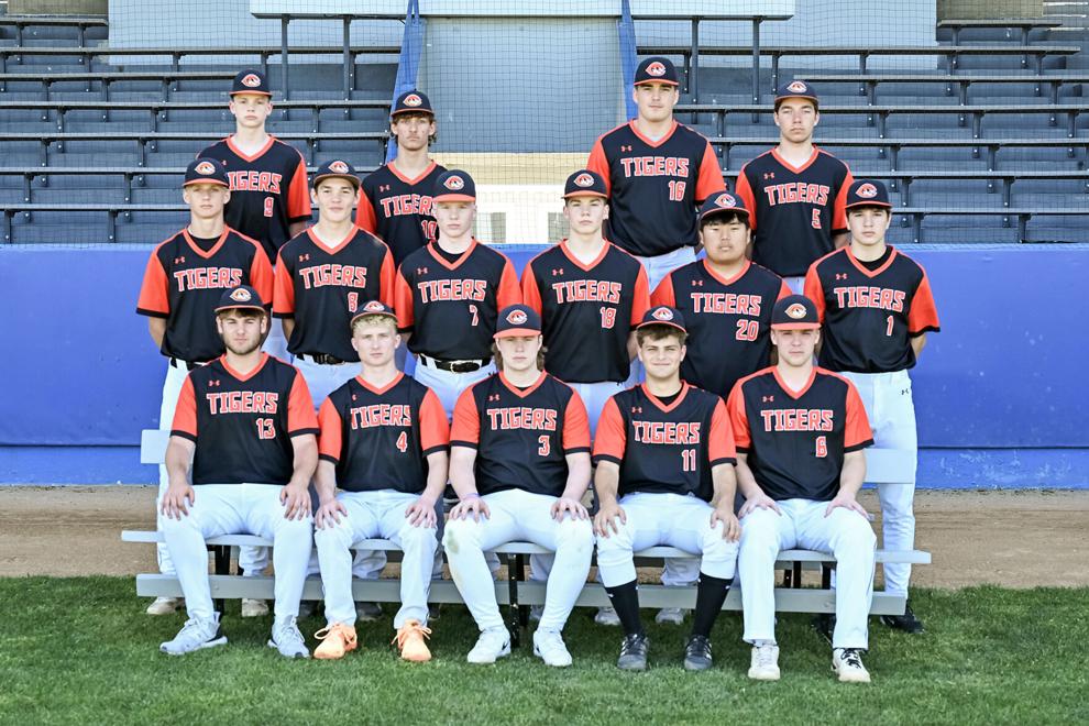 Tigers reload with talent on mound, at plate