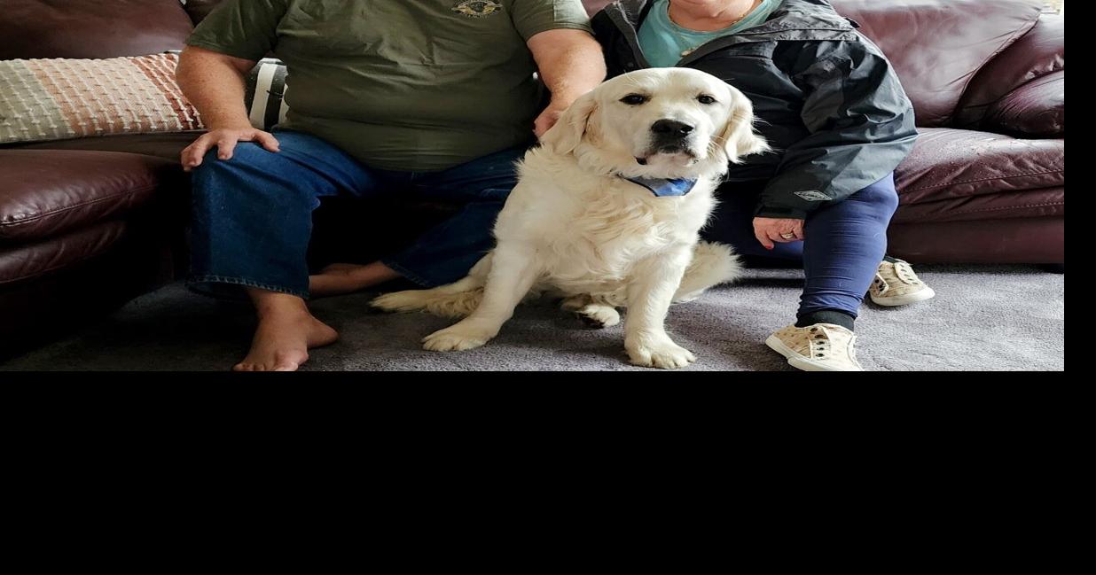 Golden retriever from Ukraine finds home in Manning News
