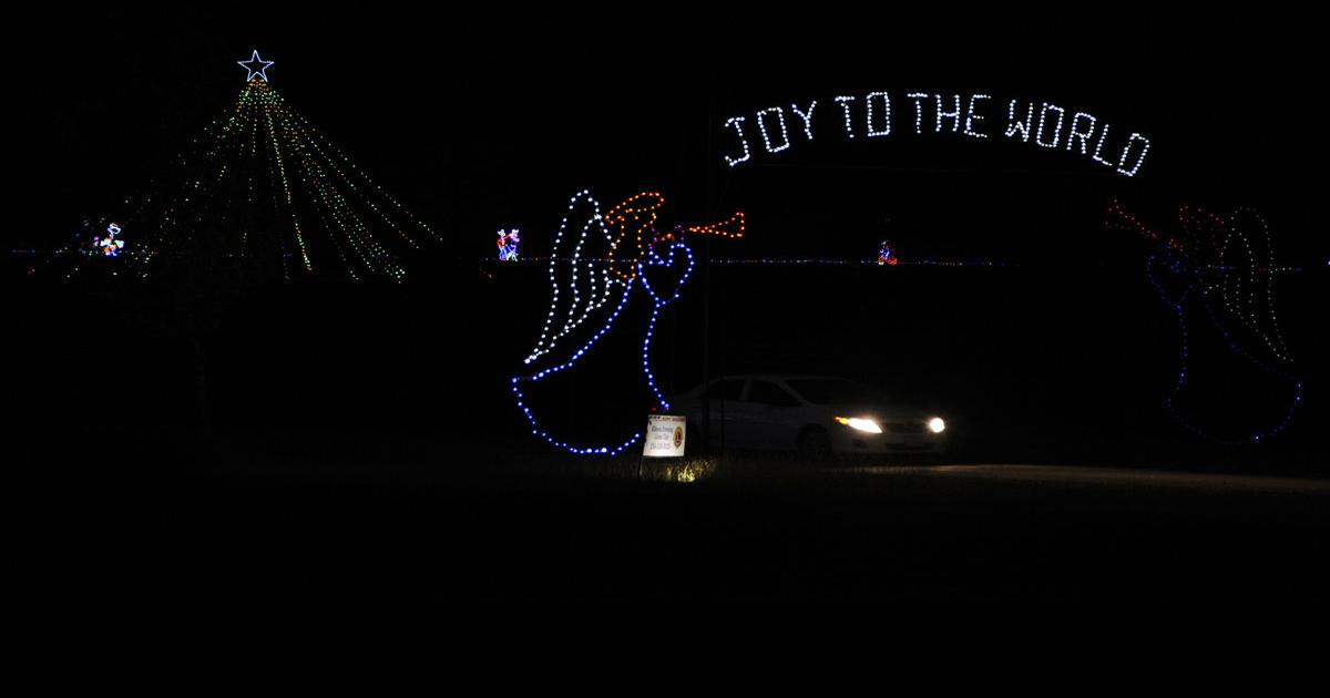 Nature in Lights ‘twinkles’ into 20th season at BLORA Living