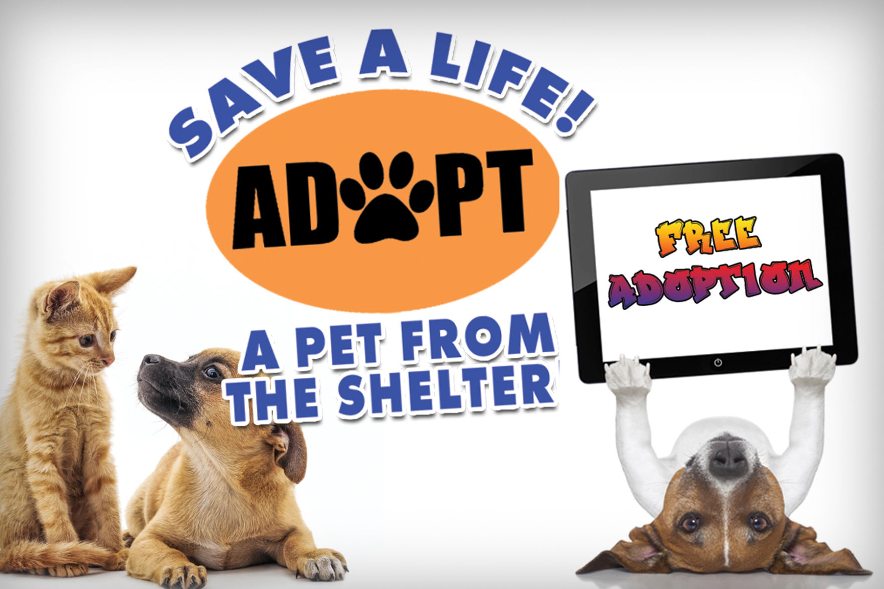 Save a store life pet rescue