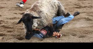 It's rodeo week! Collegiate Peaks Stampede Rodeo back for Year 102 | Free Content - Vimarsana News