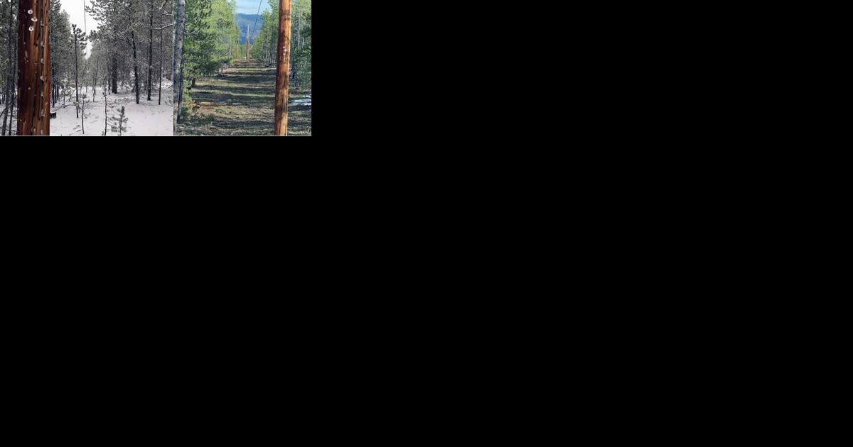 SDCEA line trimming to traverse Upper Arkansas Valley, draws ire of some landowners - Vimarsana News