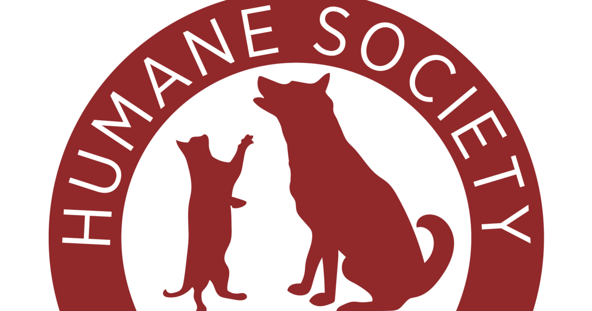 2026 AVHS Calendar Contest: Submit Your Pet Photos Now News