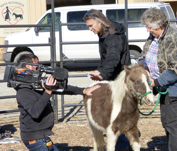 Mini Blessings To Be On Tv June 4 Free Content Chaffeecountytimes Com