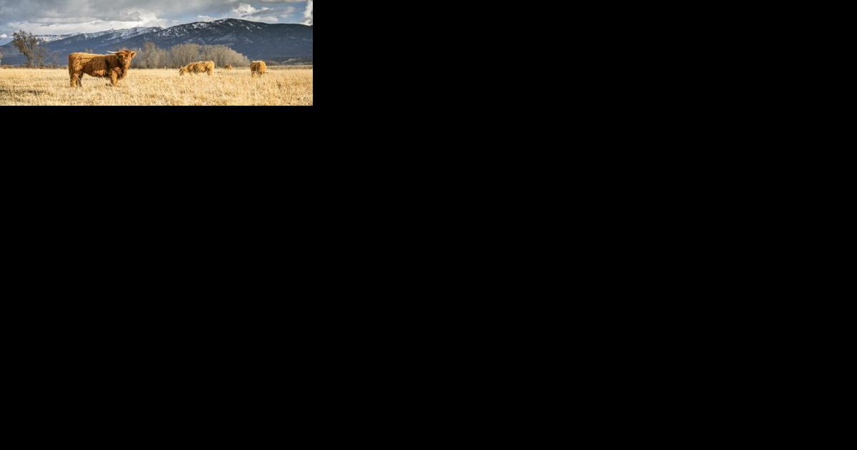 Arrowpoint joins conservancy - Vimarsana News
