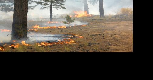 Salida Ranger District plans prescribed fire projects - Vimarsana News