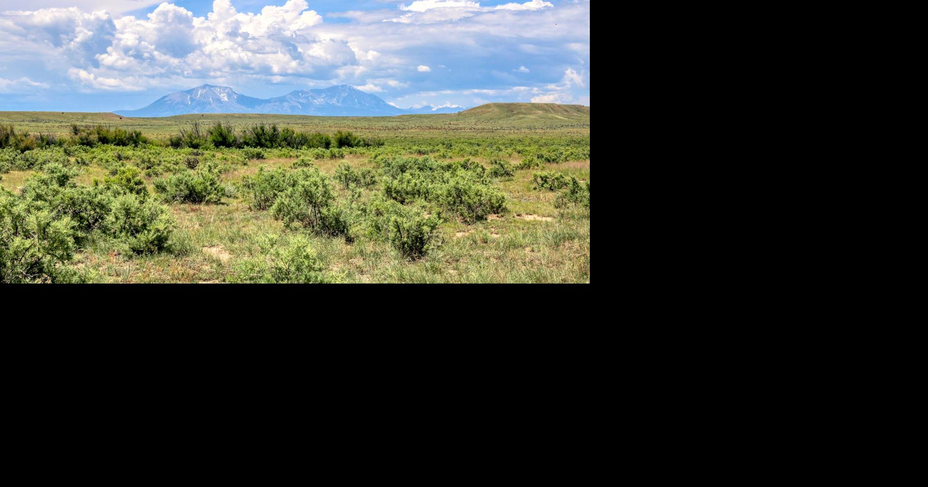Business Spotlight: Join our team as a land broker at Cruikshank Realty