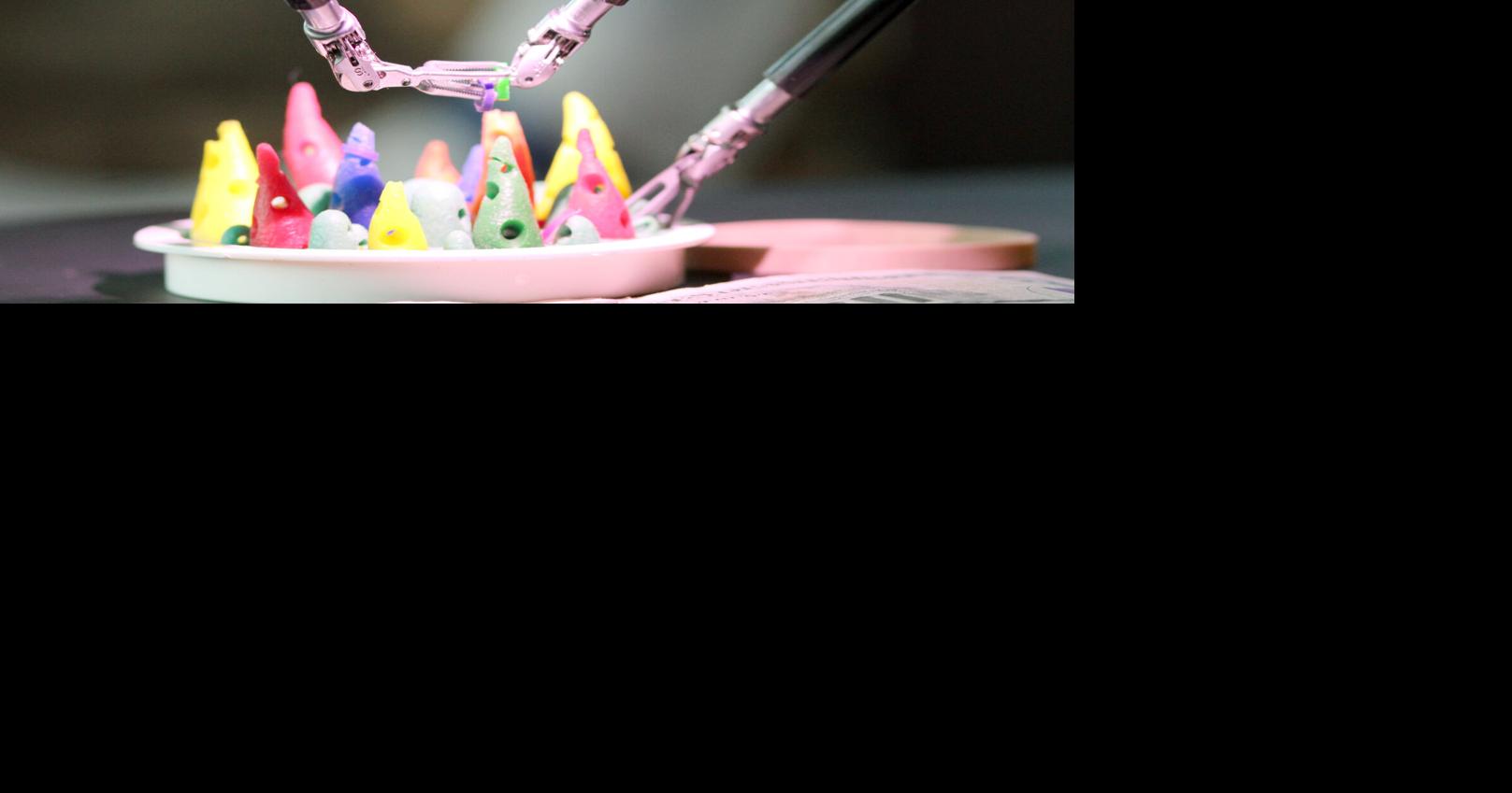 Jewel Ball raises 8K for HRRMC’s robotic surgery | News