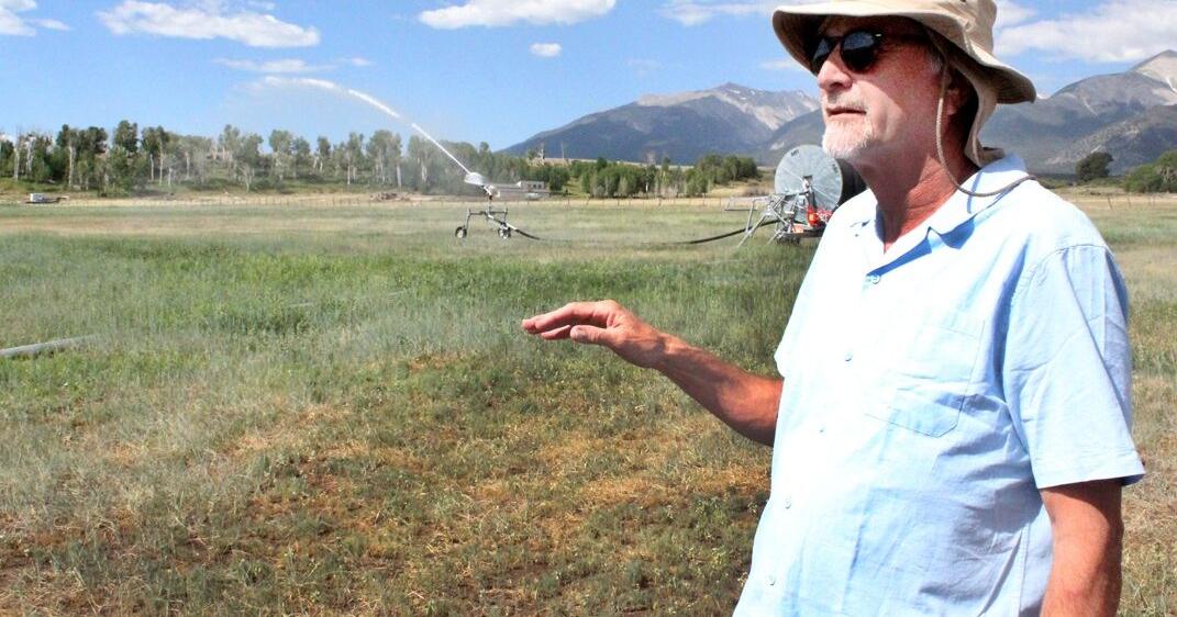 Hill Ranch revegetation nears 50% completion - Vimarsana News