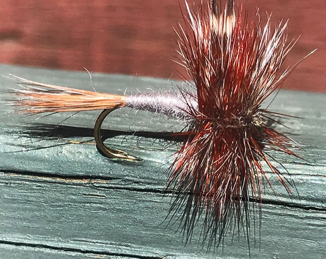 fly bait and coke recipe