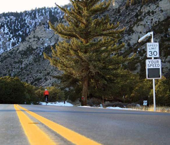 Cottonwood Pass open to Denny Creek Free Content