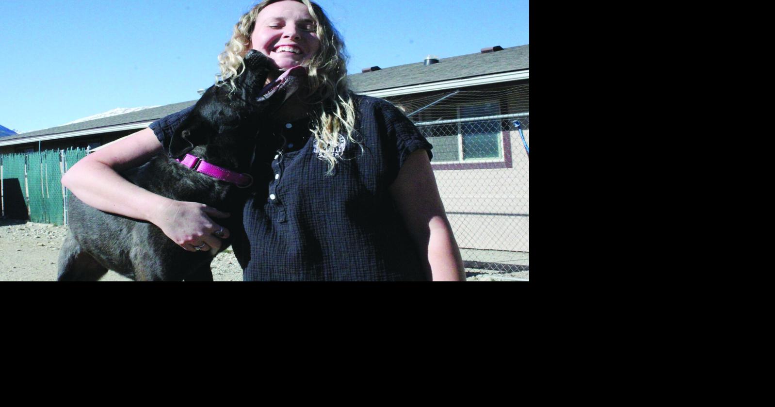 AVHS offers free microchip, pet ID tag clinics | News