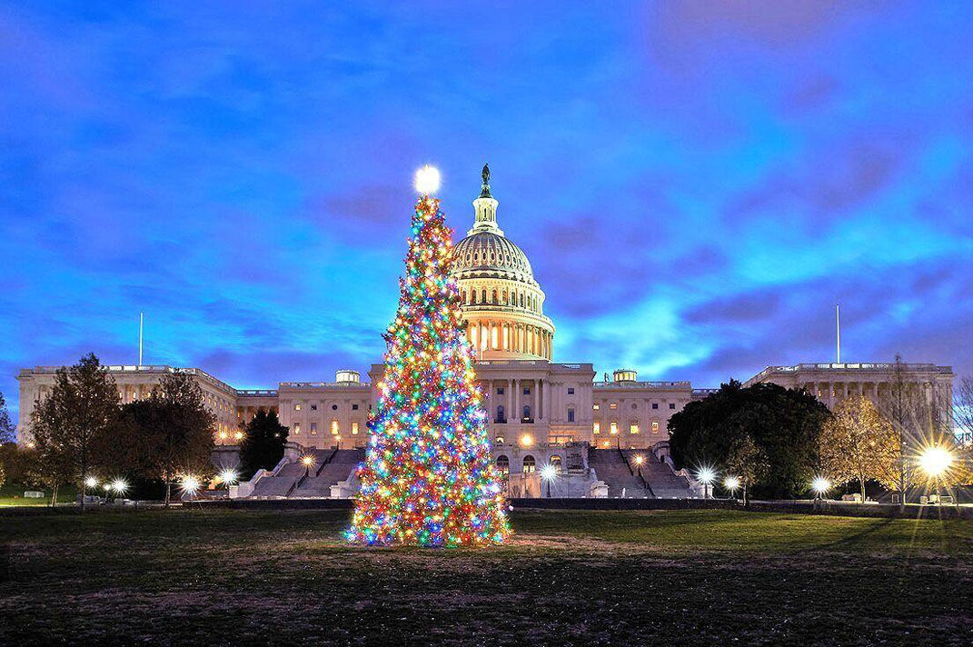 U S Capitol Christmas Tree To Make Salida Stop Friday Free Content Chaffeecountytimes Com