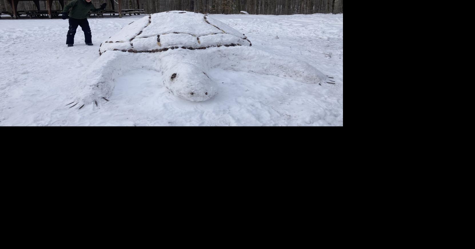 Park district invites public to come see giant snow turtle | Auburn ...
