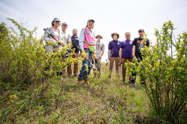 Invasive species removal Features