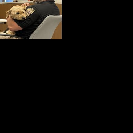 Geauga County dog registration fee increases to $20