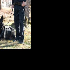 Deputy, handler remembers K-9 Ash