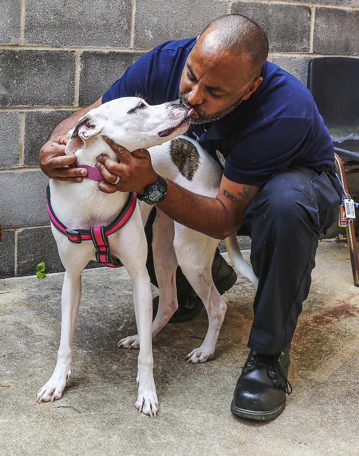 Trevor Darville plays with his pet Boxer Great Dane mix Repunzel