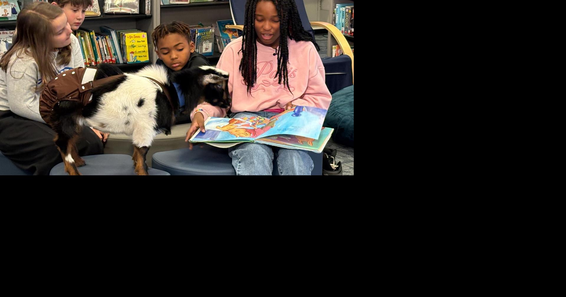 Meet the goats helping kids build confidence at Georgia school