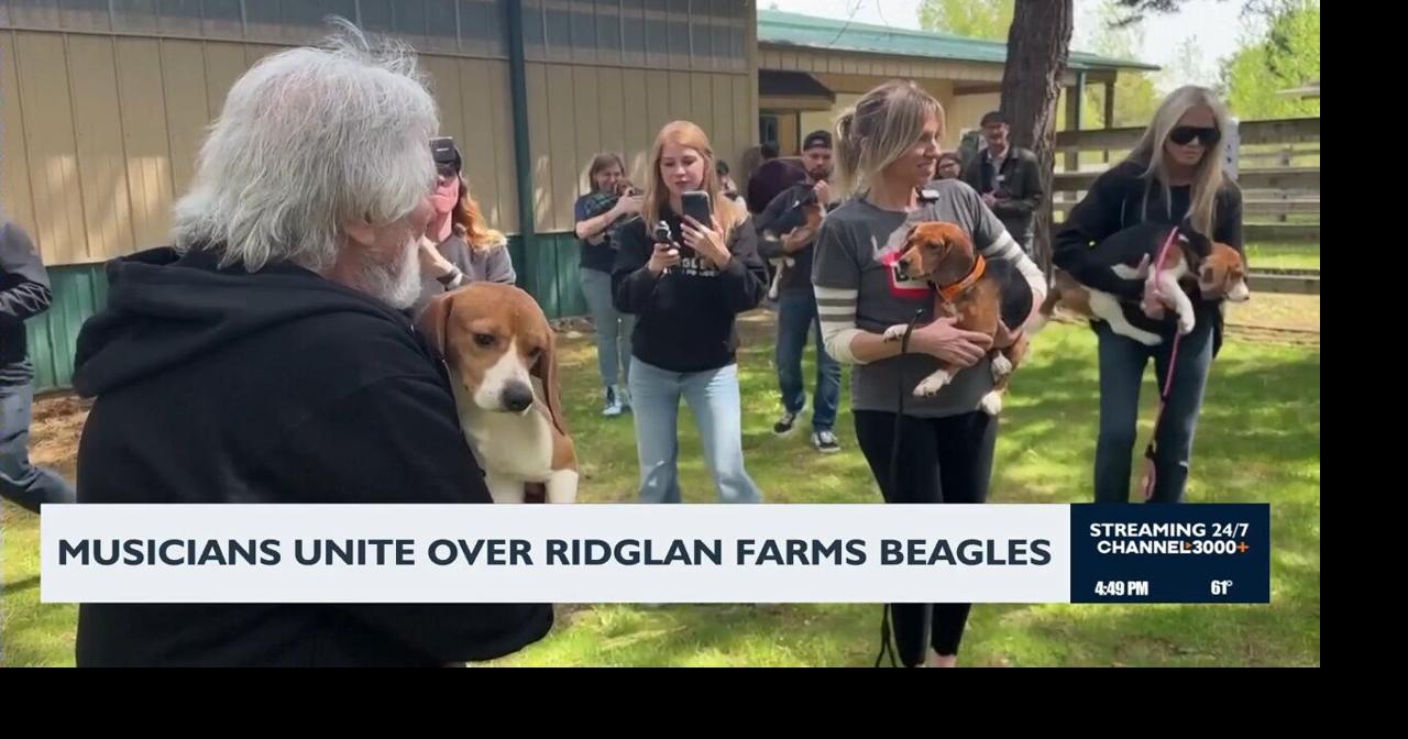 Music stars unite for Ridglan Farms beagle rescue