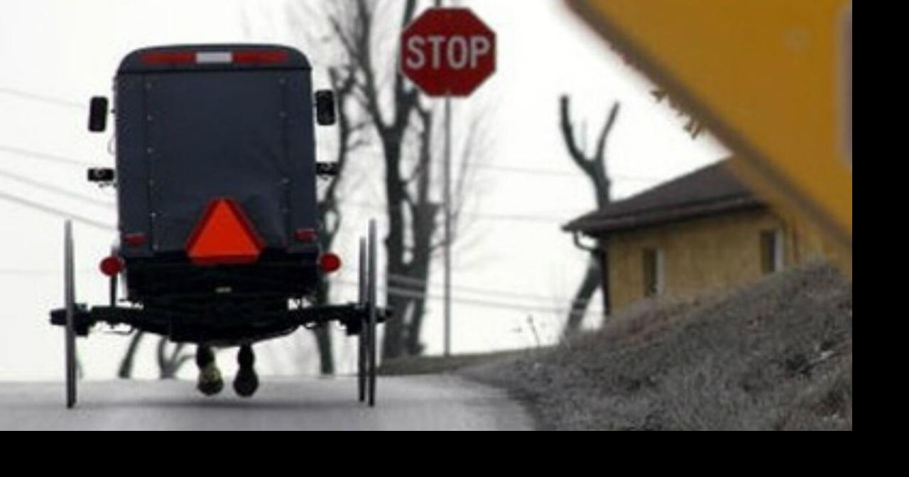 Horse injured when car hits Amish buggy | Local News | channel3000.com