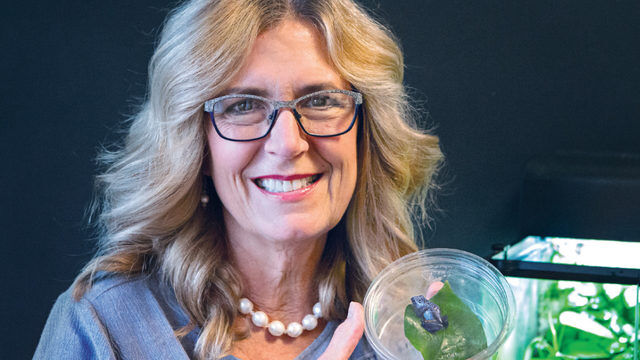 Meet three amphibian and reptile enthusiasts | Home & Lifestyle