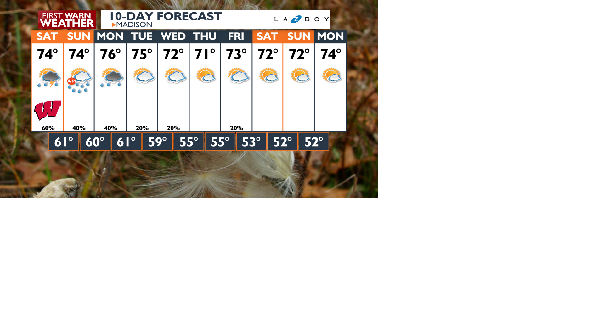 10-Day-AM Wizard PoP.png | | channel3000.com