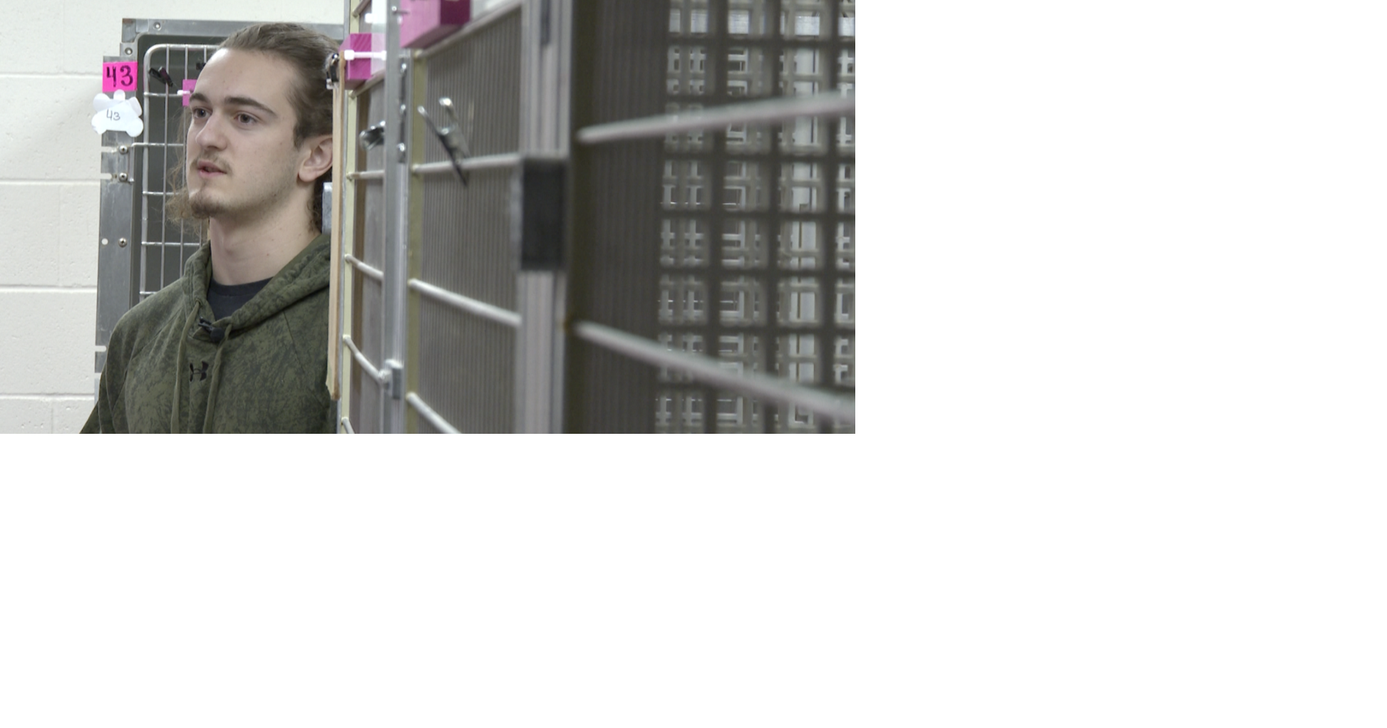 Missouri high school students help rebuild dog daycare after deadly fire