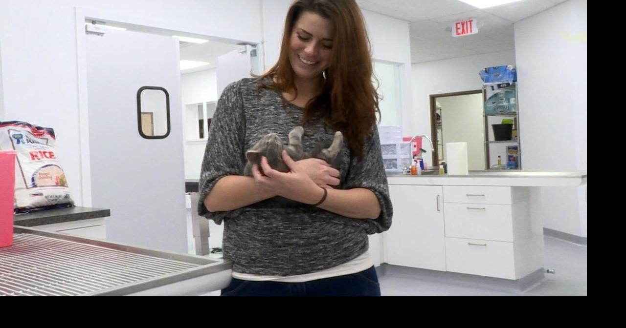 Lowcost vet clinic aims to make procedures more affordable, reduce