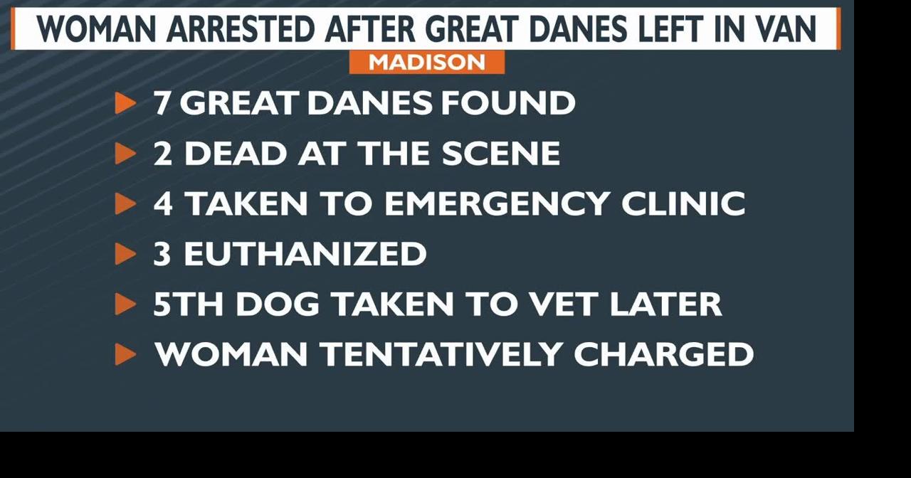 Woman arrested after Great Danes left in van | Video | channel3000.com