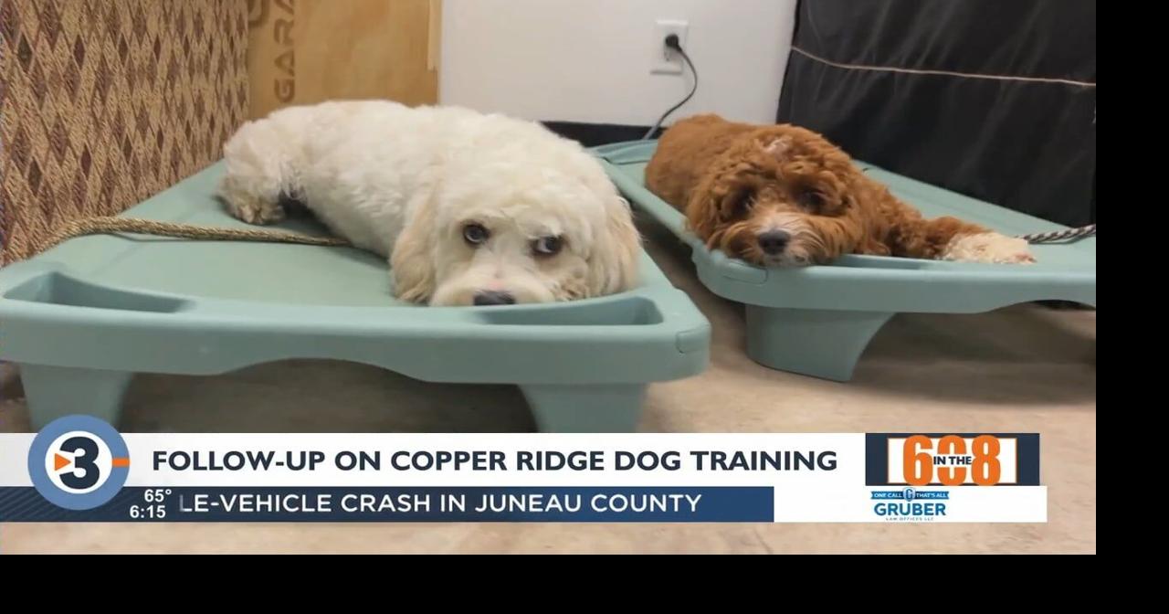 In the 608 FollowUp Copper Ridge Dog Training to hold open house