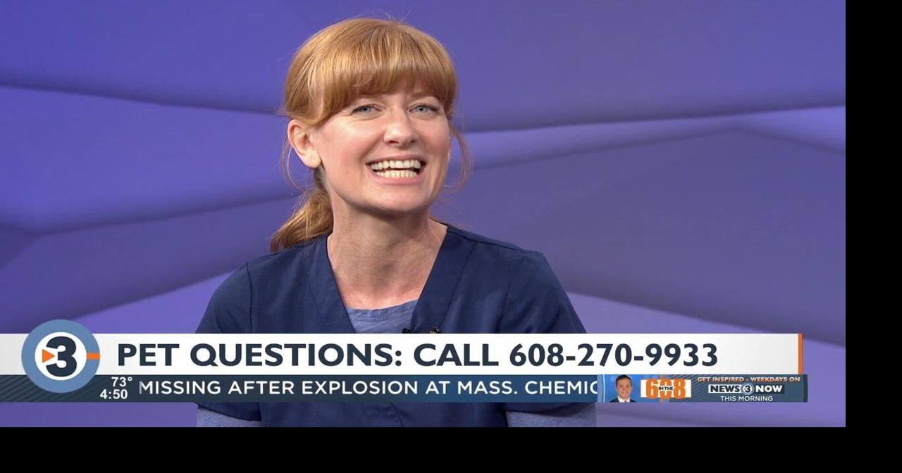 WATCH Dr. Carrie Donahue answers your pet questions Video