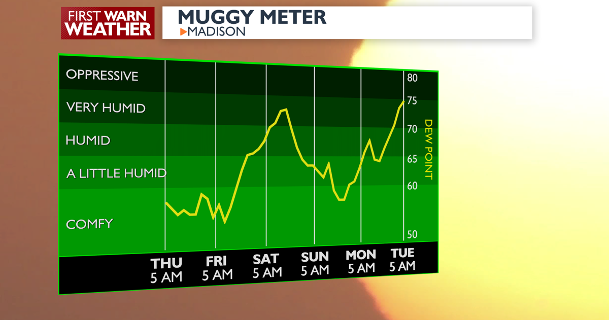 Muggy Meter.png