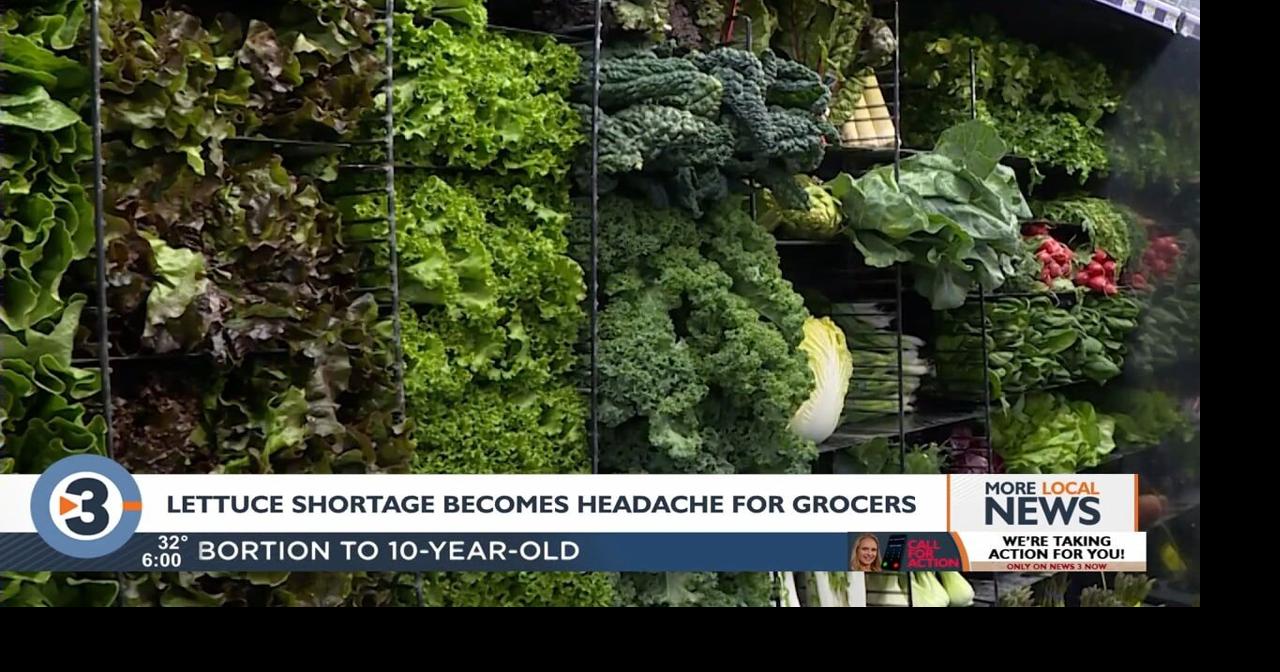 Lettuce shortage regarded as only the tip of the iceberg for supply