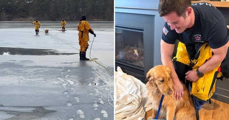 Massachusetts firefighters rescue golden retriever from icy waters