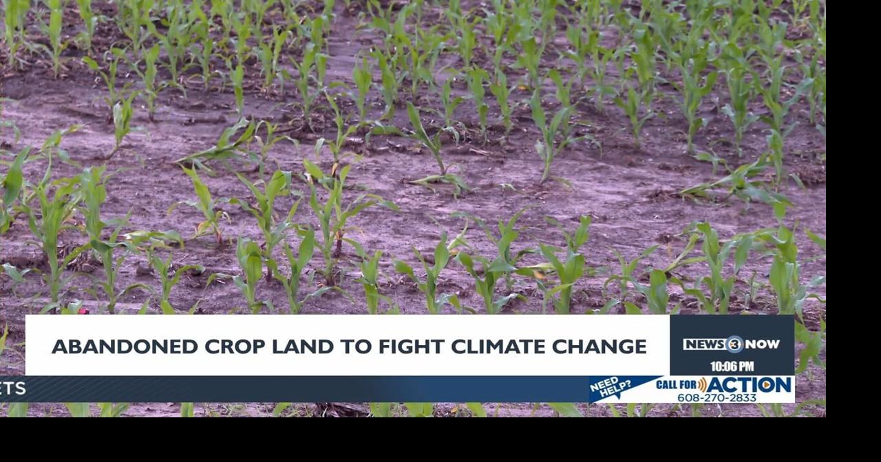 UW-Madison researchers map abandoned cropland to help combat climate change