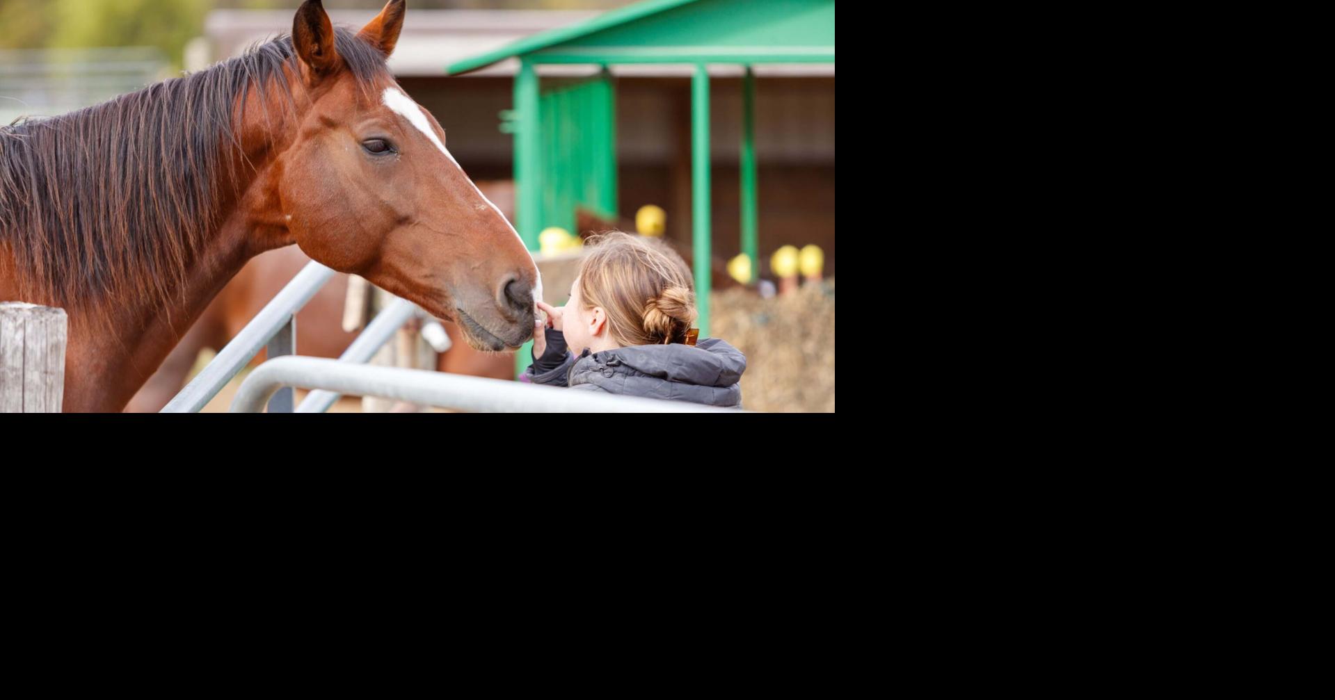 4 events this week support mental health and recovery efforts | MADISON MAGAZINE