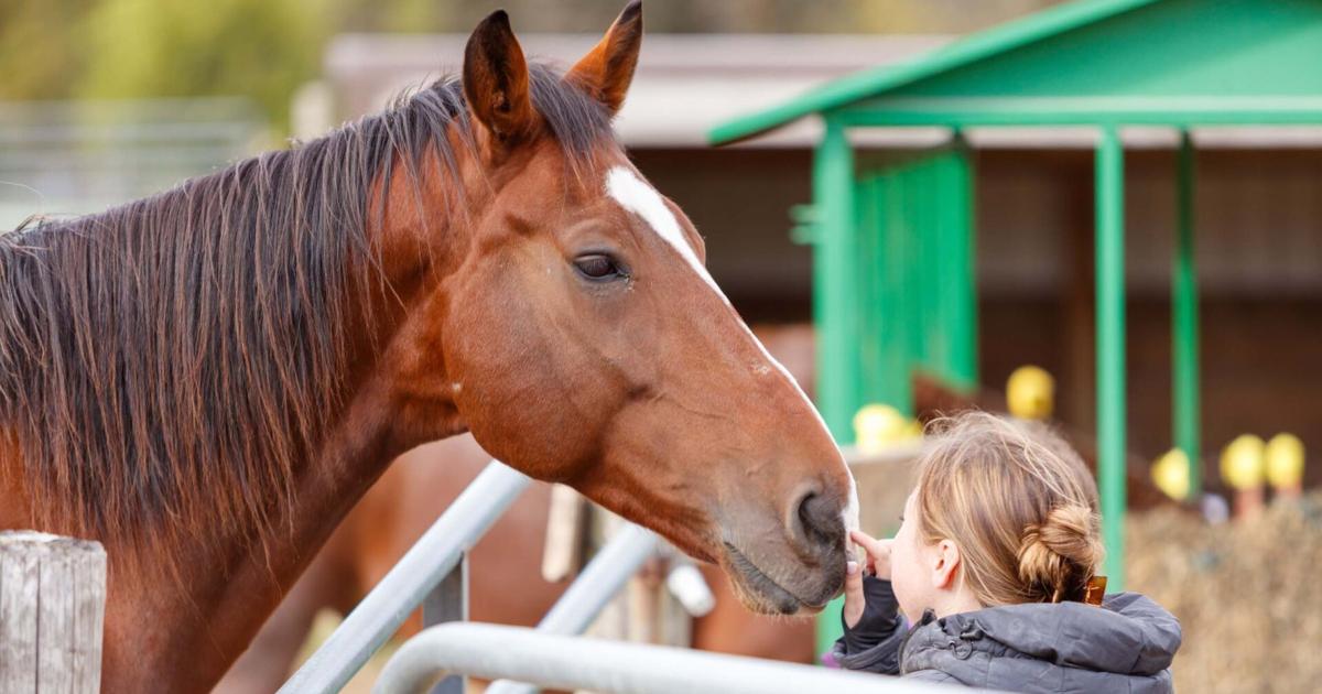 4 events this week support mental health and recovery efforts | MADISON MAGAZINE 4 events this week support mental health and recovery efforts | MADISON MAGAZINE